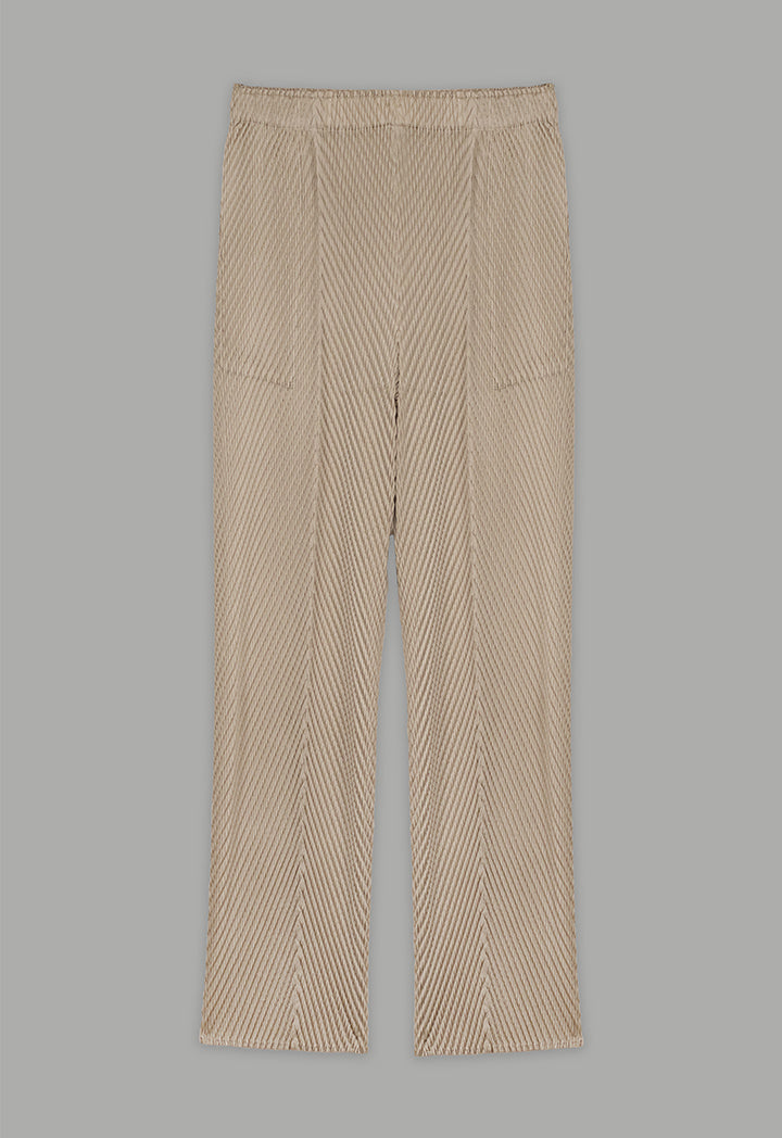 Choice Straight Cut Pleated Trousers Beige