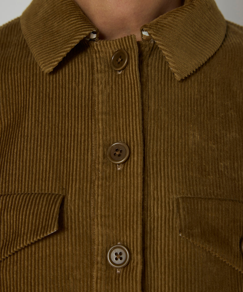 Machka Belted Velvet Dress Cinnamon